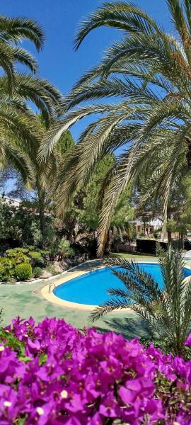 Apartamento Buganvilla Pool
